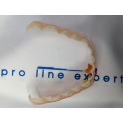 X4 Zahnverblendung Pro-Line Expert©️